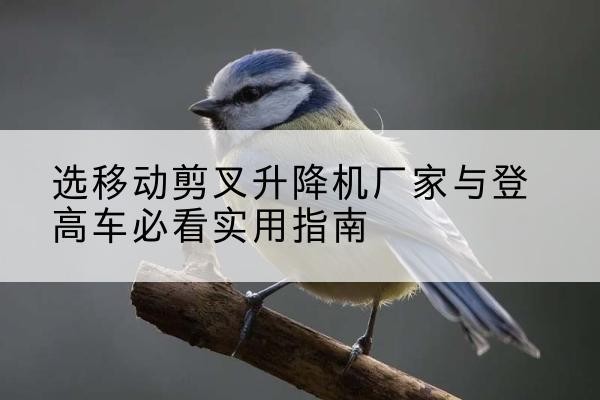 木垒电动升降机厂家-选移动剪叉升降机厂家与登高车必看实用指南