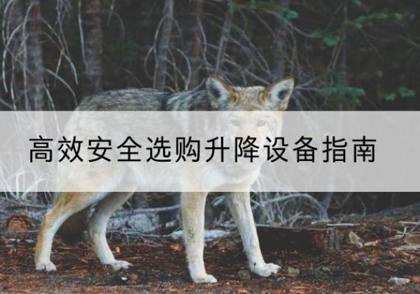 木垒升降货梯厂家推荐-*安全选购升降设备指南