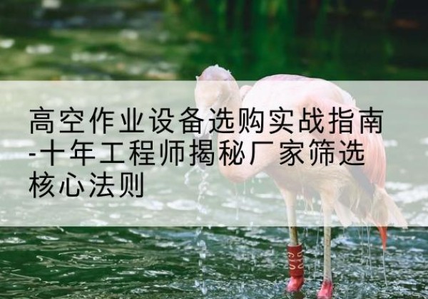 木垒剪叉式升降机厂家-高空作业设备选购实战指南-十年工程师揭秘厂家筛选核心法则